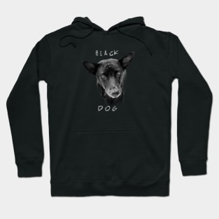 Black Dog Hoodie